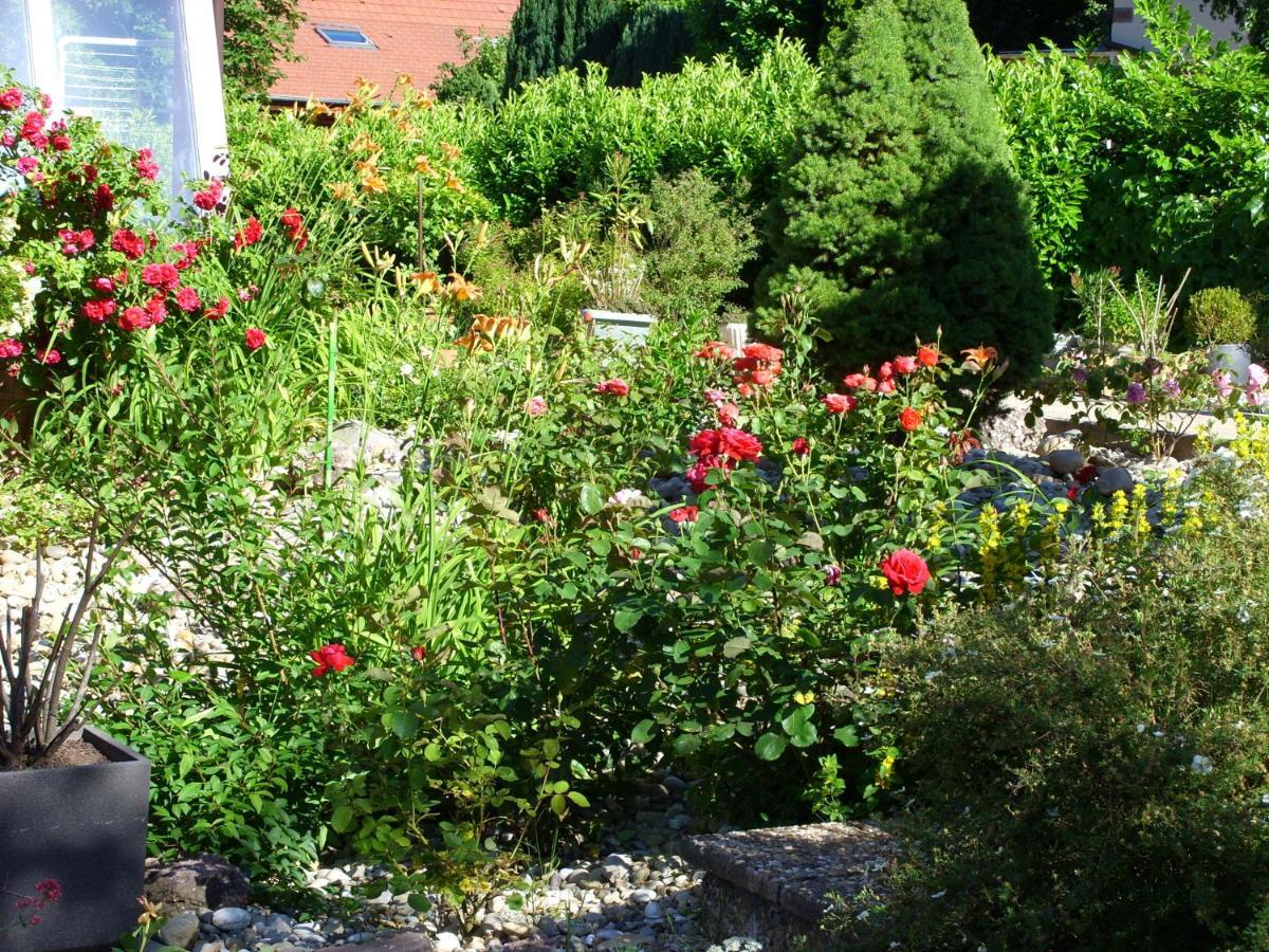 Mittenbach Oberhaslach Exterior foto